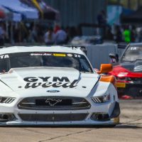 <strong>CHRIS DYSON SEEKS SECOND STRAIGHT TRANS AM TITLE AS 2022 SEASON OPENS AT SEBRING</strong>